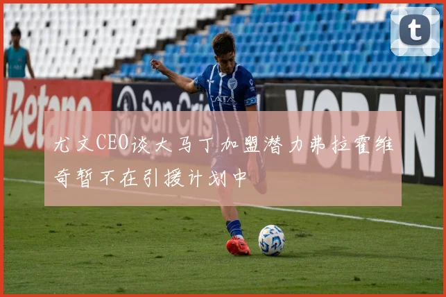 尤文CEO谈大马丁加盟潜力弗拉霍维奇暂不在引援计划中