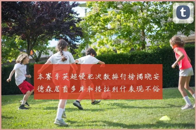 本赛季英超侵犯次数排行榜揭晓安德森居首多库和格拉利什表现不俗
