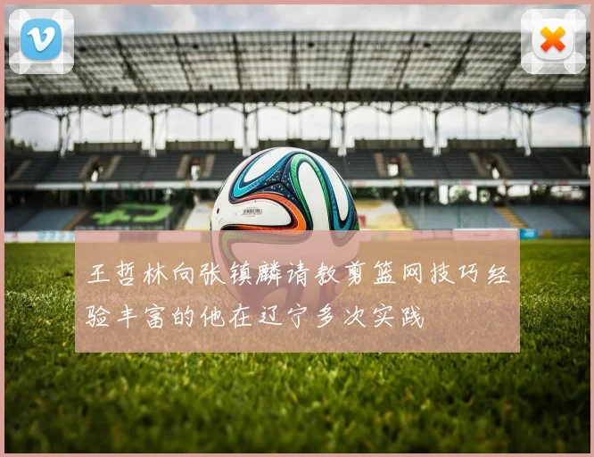 王哲林向张镇麟请教剪篮网技巧经验丰富的他在辽宁多次实践